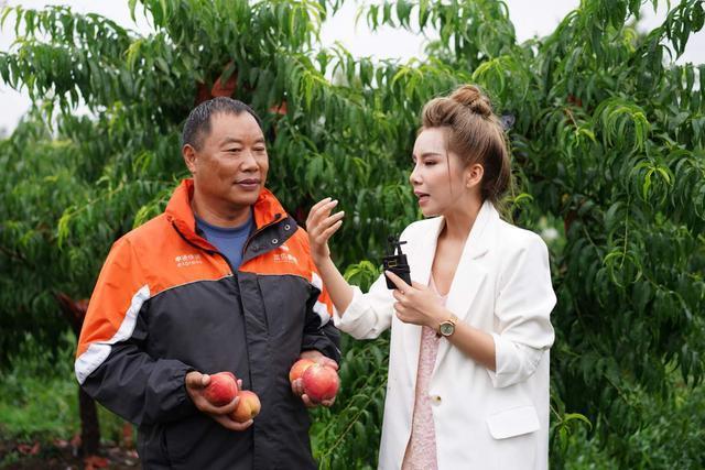 ems国际代理报关