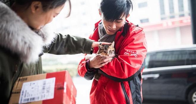 中通快递怎么查单子